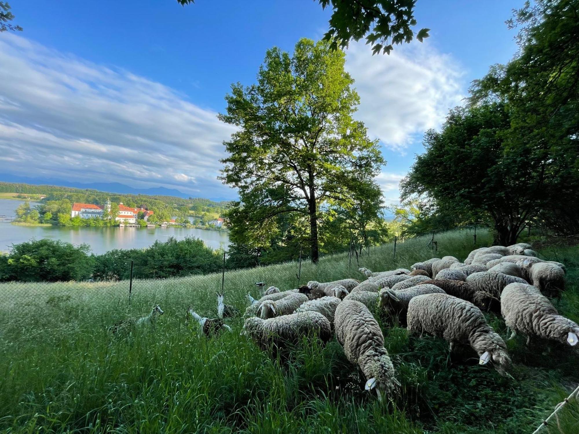 Seeblick Chiemgau, Haus Am Weinberg, 83370 Oberbayern Seeon-Seebruck